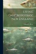 Living Gasteropods of new England