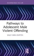 Pathways to Adolescent Male Violent Offending