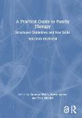 A Practical Guide to Family Therapy: Structured Guidelines and Key Skills