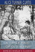 A Little Maid of Old Maine (Esprios Classics): Illustrated by Elizabeth Pilsbry
