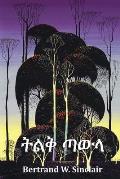 ትልቅ ጣውላ: Big Timber, Amharic edition