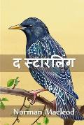 द स्टारलिंग: The Starling, Hindi edition