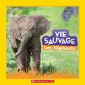National Geographic Kids: Vie Sauvage: Les ?l?phants