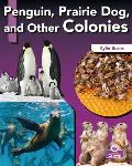 Penguin, Prairie Dog, and Other Colonies