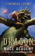 Dragon Mage Academy: Pariah of Dragons
