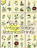 100 Vintage Botany Botanical Prints Volume 2