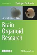 Brain Organoid Research