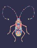 Coleoptera Beetle Notebook: Funny and cool beetle notebook for insects lovers