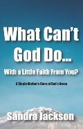 What Can't God Do Wiht a Little Faith From You: A Single Mother's Story of God's Grace