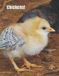 Chickens!: An extra-large print senior reader book with activities sheets