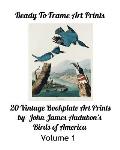 Ready To Frame Art Prints: : 20 Vintage Bookplate Art Prints by John James Audubon Birds of America
