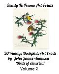 Ready To Frame Art Prints: : 20 Bookplate Art Prints by John James Audubon Birds of America Volume 2