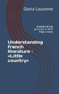 Understanding french literature: Little country: Analysis of key passages in Ga?l Faye's novel