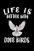 Life Is Better With Dove Birds: Animal Nature Collection