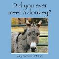 Did You Ever Meet a Donkey?