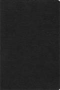 Rvr 1960 Biblia de Estudio Arcoiris, Negro S?mil Piel