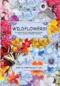 WILDFLOWERS! A Guide to Identifying the Wildflowers of Northern California's Wine Country