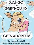 Django the Greyhound: Gets Adopted!