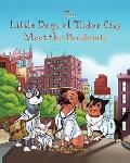 The Little Dogs of Tudor City Meet the Pandemic