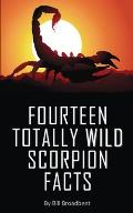 Fourteen Totally Wild Scorpion Facts: Fun, educational and full of color pics and graphics!