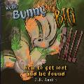 Ruby Bunny and the Big Fall: How to get Lost and Be Found
