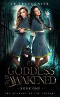 The Goddess is Awakened: A Paranormal Why Choose Romance