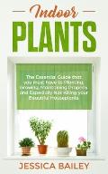 Indoor Plants: The Essential Guide that you must have to Planting, Growing, Maintaining Properly and Especially Not Killing your Beau