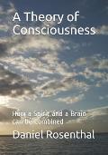 A Theory of Consciousness: How a Spirit and a Brain can be Combined