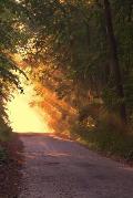 Sunlight Down the Road: A Dirt Road or Track Is a Type of Unpaved Road Made from the Native Material of the Land Surface Through Which It Pass
