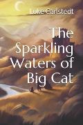 The Sparkling Waters of Big Cat