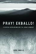 Pray! Ekballo!: A Prayer Revolution For The Great Harvest