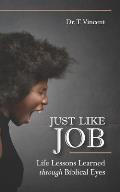 Just Like Job: Life Lessons Learned through Biblical Eyes