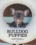 Bulldog Puppies: Guide to train & care for your french bulldog