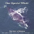 One Special Whale: The Story of Kleenex