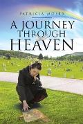 A Journey through Heaven