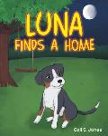 Luna Finds a Home