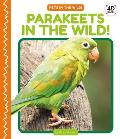 Parakeets in the Wild!