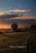 Brain Dump: A Collection of Songs, poems, and Other Moody Things