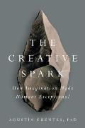 Creative Spark How Imagination Made Humans Exceptional