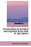 A Commentary, Grammatical and Exegetical, on the Book of Job, Volume I
