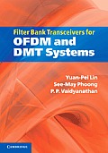 Filter Bank Transceivers for OFDM and DMT Systems