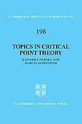 Topics in Critical Point Theory