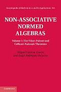 Non Associative Normed Algebras Volume 1 the Vidav Palmer & Gelfand Naimark Theorems