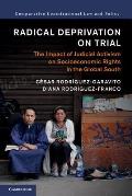 Radical Deprivation on Trial: The Impact of Judicial Activism on Socioeconomic Rights in the Global South