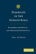 Disability in the Hebrew Bible: Interpreting Mental and Physical Differences
