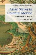 Asian Slaves in Colonial Mexico: From Chinos to Indians