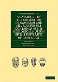 A Catalogue of the Collection of Cambrian and Silurian Fossils Contained in the Geological Museum of the University of Cambridge