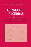 Quasi-Hopf Algebras: A Categorical Approach