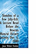 Sketches of a Few Jelly-Fish: A Lecture Read Before the Newton Natural History Society, Dec. 6, 1880