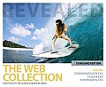 Web Collection Revealed Standard Edition Adobe Dreamweaver CS5 Flash CS5 & Fireworks CS5